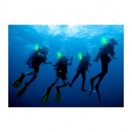 Batonnets lumineux SnapLight - Cyalume