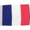 Pavillon France  30x45