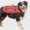 copy of Gilet pour chien - Taille S